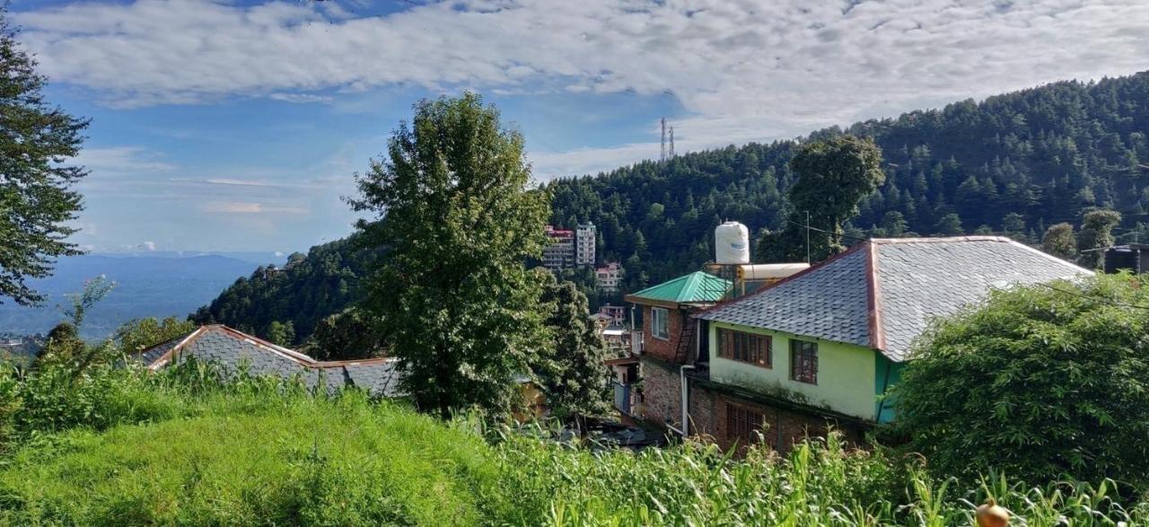 White Rabbit Guest House Dharamshala Luaran gambar